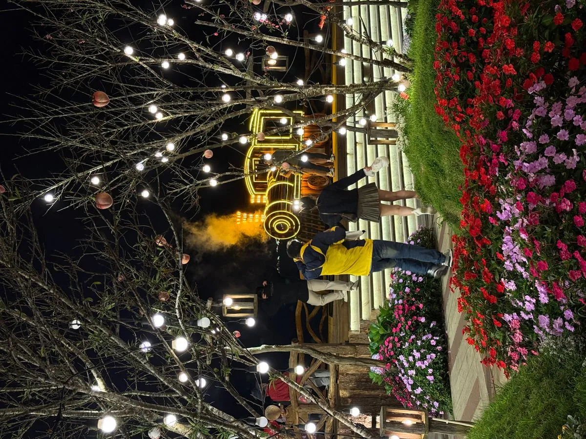 Setup Sinh Nhật Miễn Phí Đà Lạt - không gian quán nướng về đêm Đà Lạt