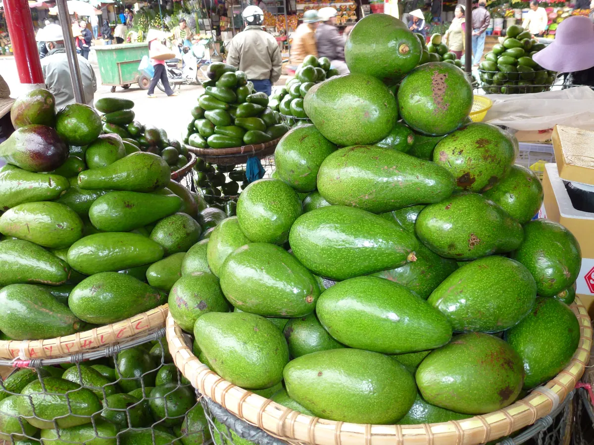 Bơ xanh chất đầy trong thúng tre ở chợ Đà Lạt