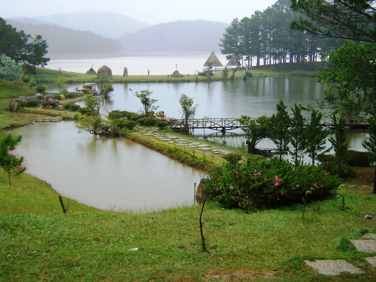 Hồ nước và bãi cỏ trong khu Thung lũng Vàng phủ sương sớm, rừng thông và chòi lá ven hồ
